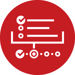 R-ACES Icon Self Assessment Tool